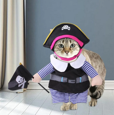 Pet Pirate Clothes