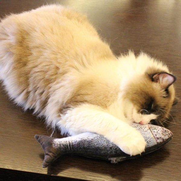 Cat's Fish
