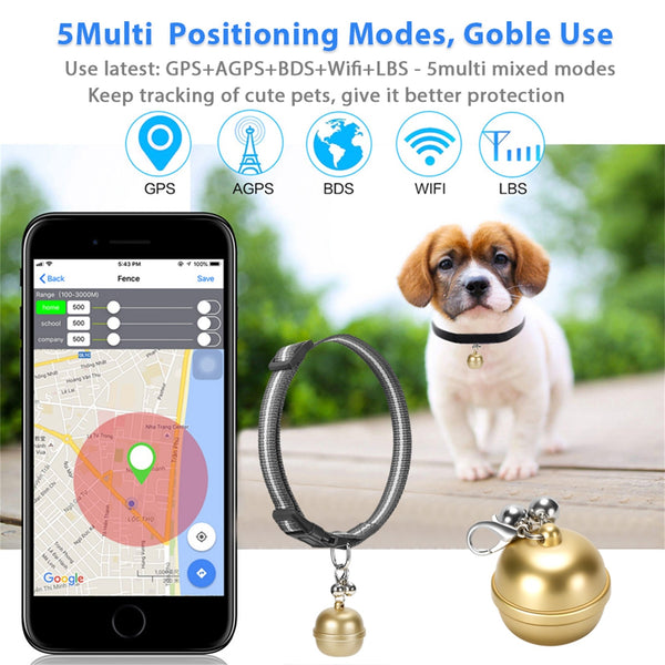Bell Smart Pet GPS